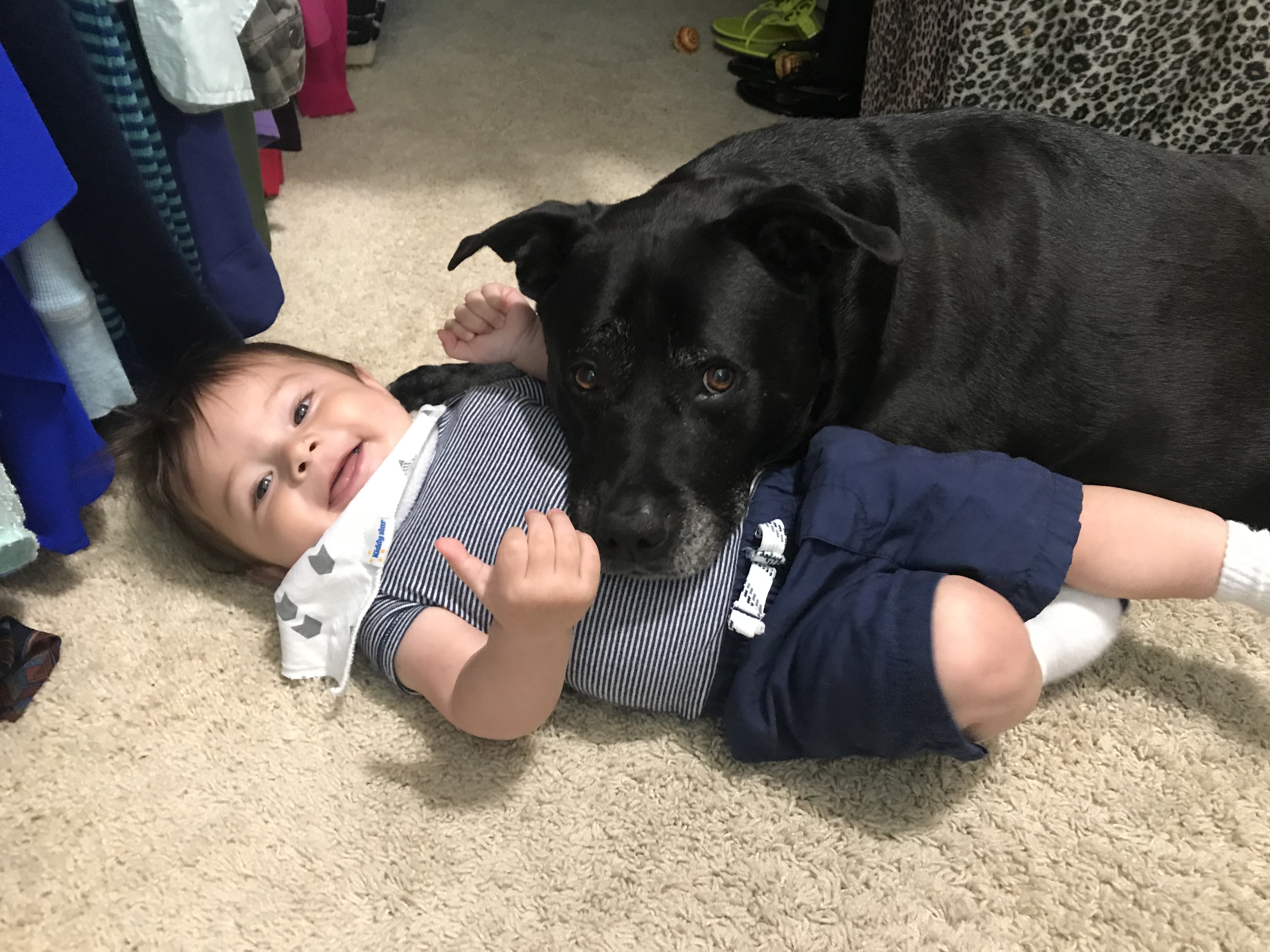 1C506738-95A6-4997-AB07-FFAE545F9B79