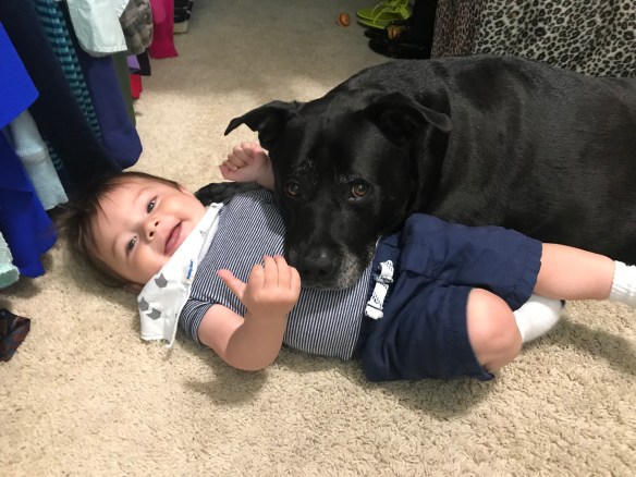 1C506738-95A6-4997-AB07-FFAE545F9B79